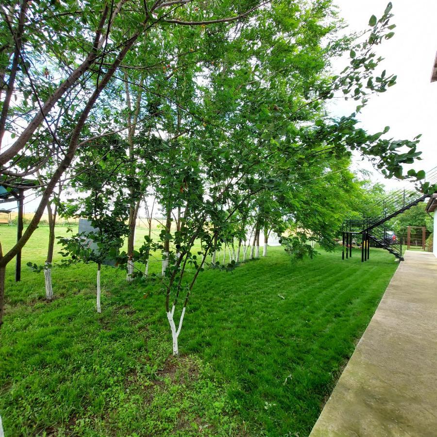 Villa Romelia - Select Apartments Ваду Экстерьер фото