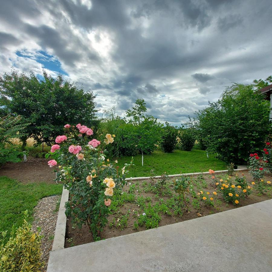 Villa Romelia - Select Apartments Ваду Экстерьер фото